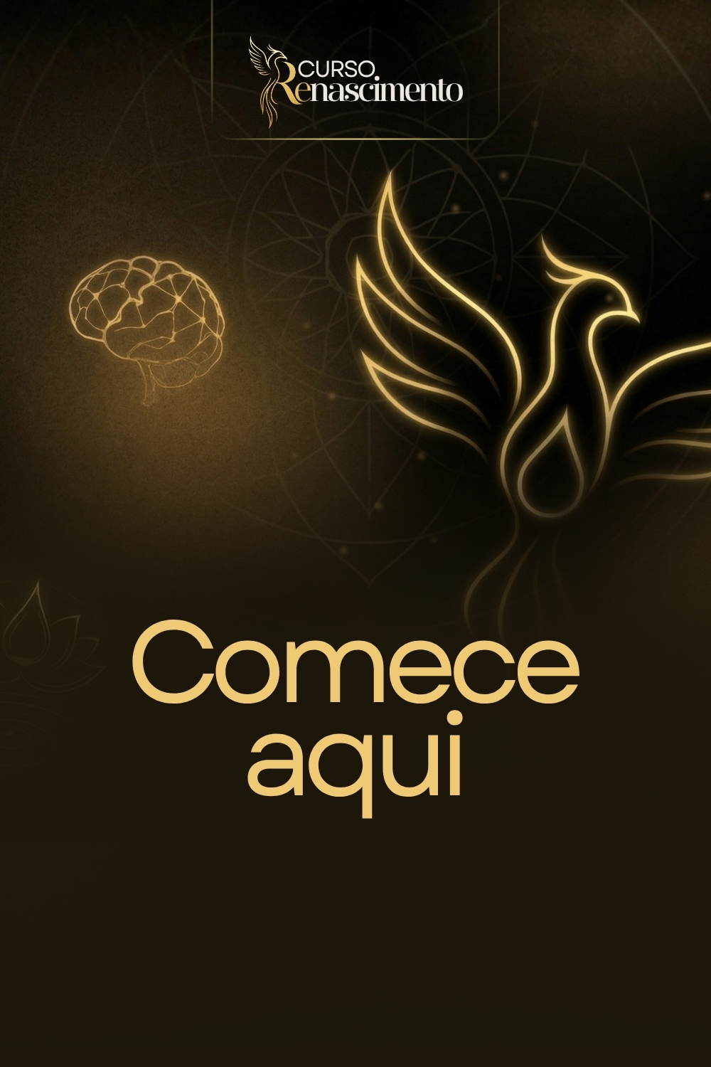 Módulo 1 - Comece Aqui